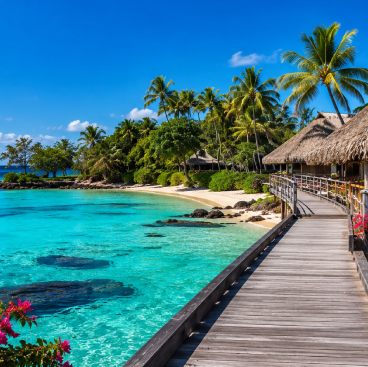 Turismo & Travel